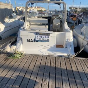 Bayliner Boats États Unis
