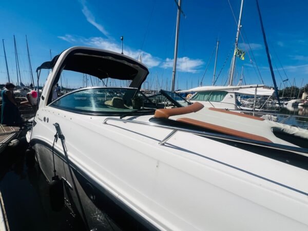 Sea Ray Sundancer 265