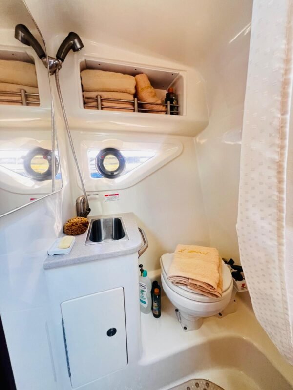 Sea Ray Sundancer 265